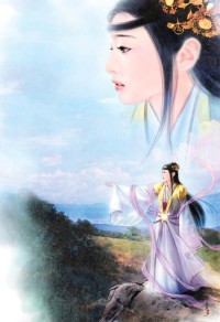 大大乌龙记